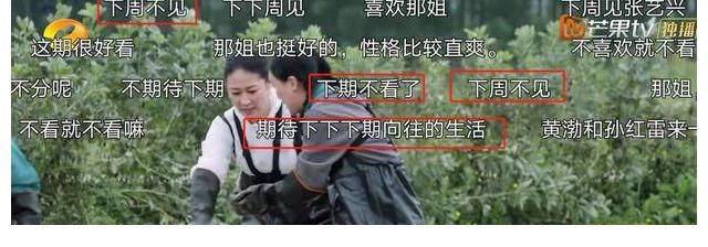 何炅|直呼黄磊大名，喊何炅为老太太，《向往5》迎开播以来最大牌嘉宾