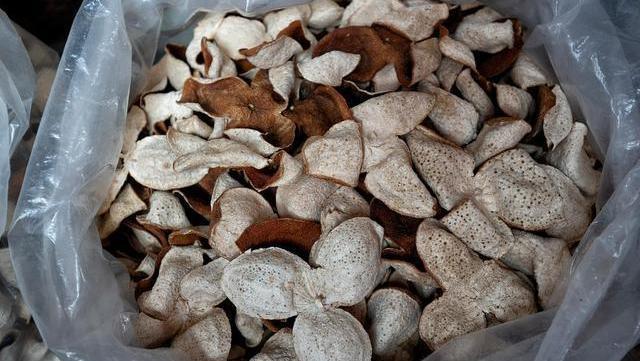 睡眠质量|一两茯苓一两金,茯苓的“最佳搭档”揭秘,祛湿补气,体重蹭蹭降