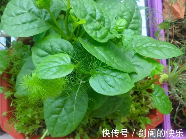 |浪式段子·新话说·第一季