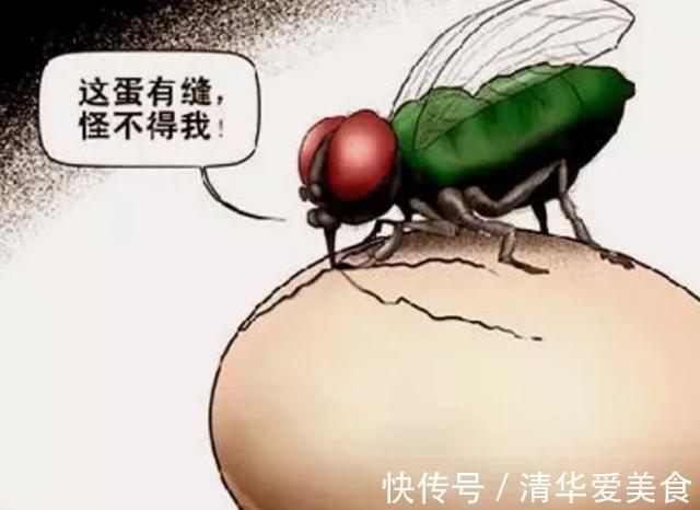 家庭和睦@俗话“苍蝇不叮无缝蛋”,家里若发现这3件“怪事”,或是不祥兆