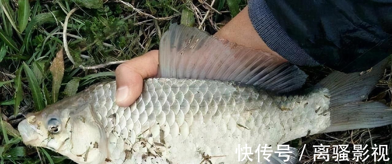 冬季什么天气鱼情好?这5种晴天,2种不去钓鱼是浪费!