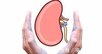 左归丸|两个补肾的经典名方,名字只有一字之差,效果却有天壤之别!