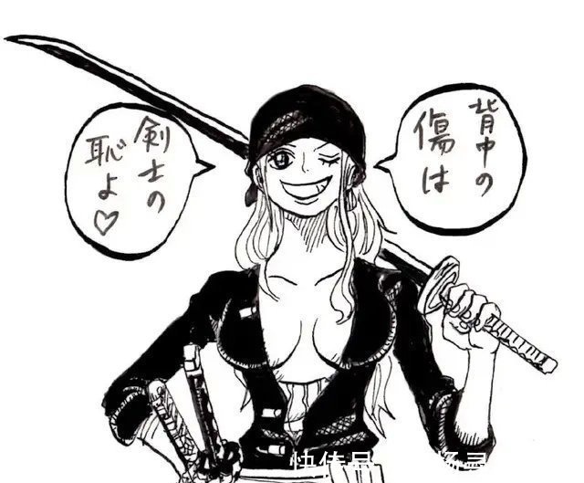 山治|海贼王当草帽团互相扮演对方,娜美成了剑豪,弗兰奇画风突变