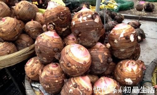 预防|此菜是天然“胶原蛋白”!预防衰老,保持肌肤水分,女人不妨多吃