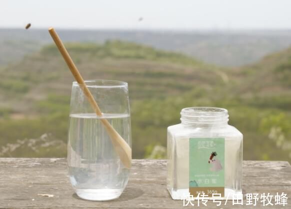 做法|蜂蜜腌制金桔的做法，怎样做好？