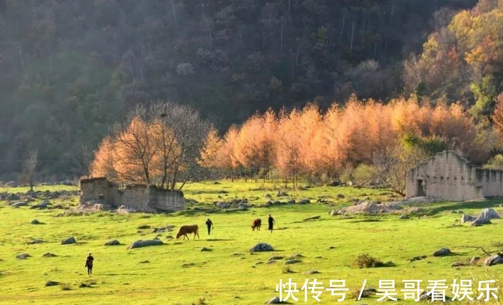 牧场|西安周边自驾攻略秦岭最美赏秋路线