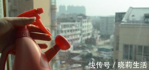 擦玻璃别用水了,教你用一秘招,擦完的玻璃光亮如新,方法太棒了