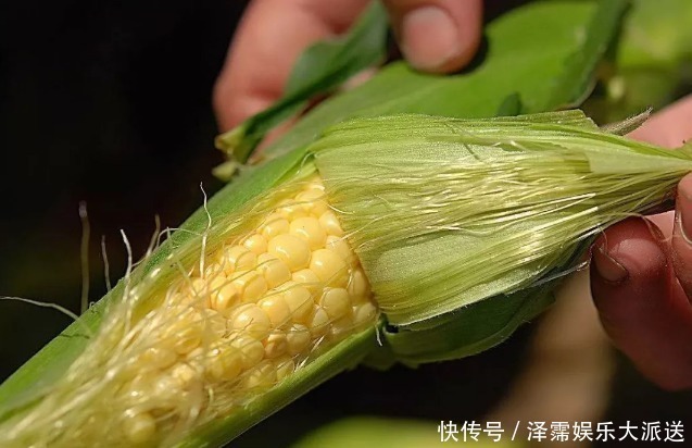 煮玉米,最忌直接放水里煮!牢记这4点,玉米又香又甜,软糯营养