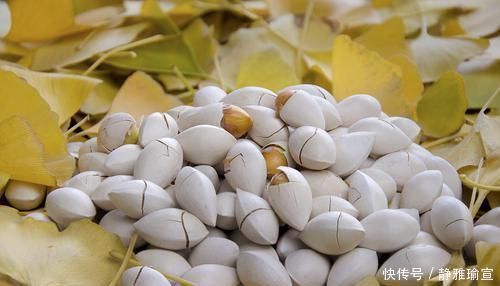 蒲公英|44种独味中药特效偏方!一味药治一种病!个个身怀绝技!赶紧收藏