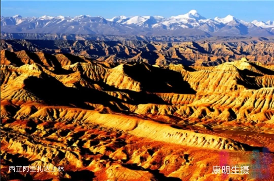 光影|漆寨芳新作《康明生的光影人生》举行首发仪式