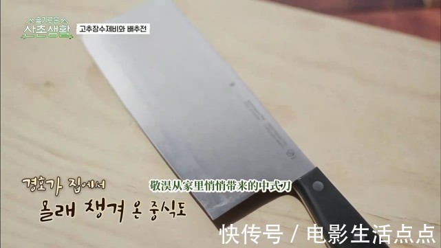 田美|一集飙到9.5!tvN最新治愈神综,《机医》五人帮重聚全程爆笑