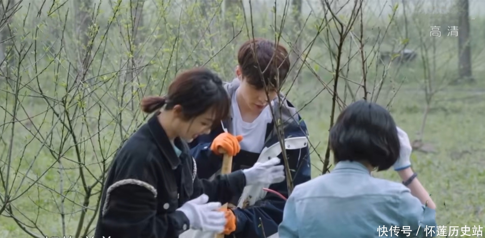 张子枫 杨紫情商真高,综艺里的“三步操作”,太圈粉了