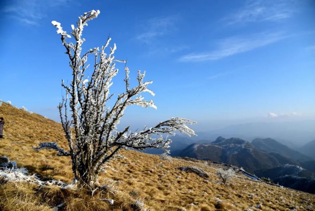 县区|初雪！周边县区雪景美图来袭！