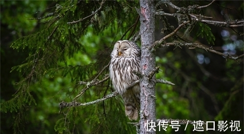 4大生肖10月结束坏运气，赚钱从少变多，事业从难转易，福气延绵