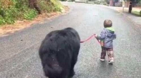 批评|孩子被家长批评,离家出走,接下来的画面,爸爸笑喷了