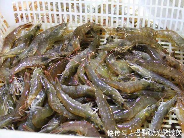 大虾别再放塑料瓶中冷冻了,厨师教你新方法,放1年虾头都不黑