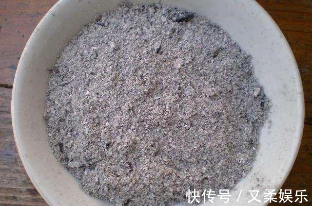 农村|此物在农村满大街都是,却没人要,带点回家,养花的神器