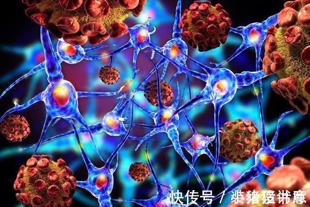 深山|深山老林一种野生菌类,是天然“抗癌剂”,坚持每天吃一点