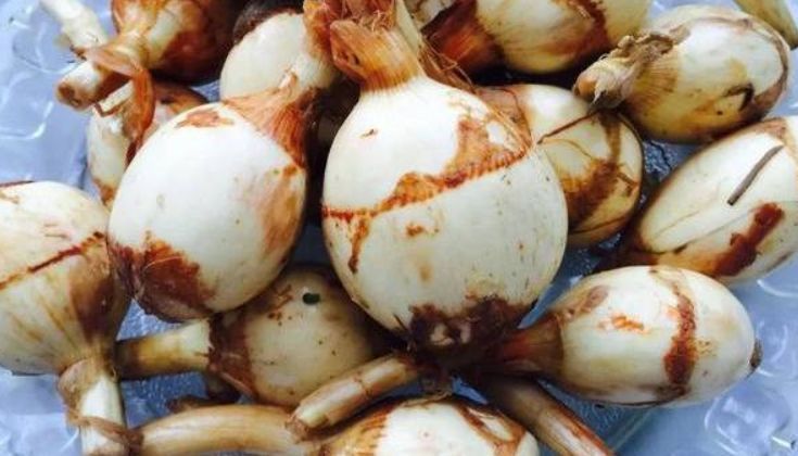 塔菜|女性想要身材好，常吃四种食物，刮油消脂，排毒清肠，吃出小蛮腰