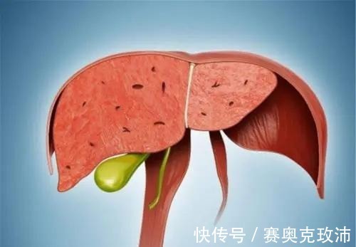 早餐|养肝的“黄金期”在早上?李兰娟院士建议:这3种早餐,或可常吃