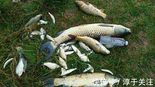 详解跑铅钓和双铅钓要领,夏季野钓风浪天,最实用的两种钓法