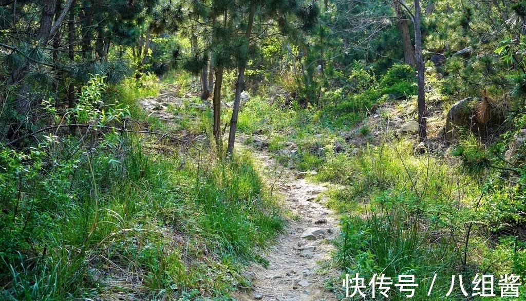 陆羽$唐朝有一个叫皎然的和尚,诗写得闲适简淡,可谓一代宗师