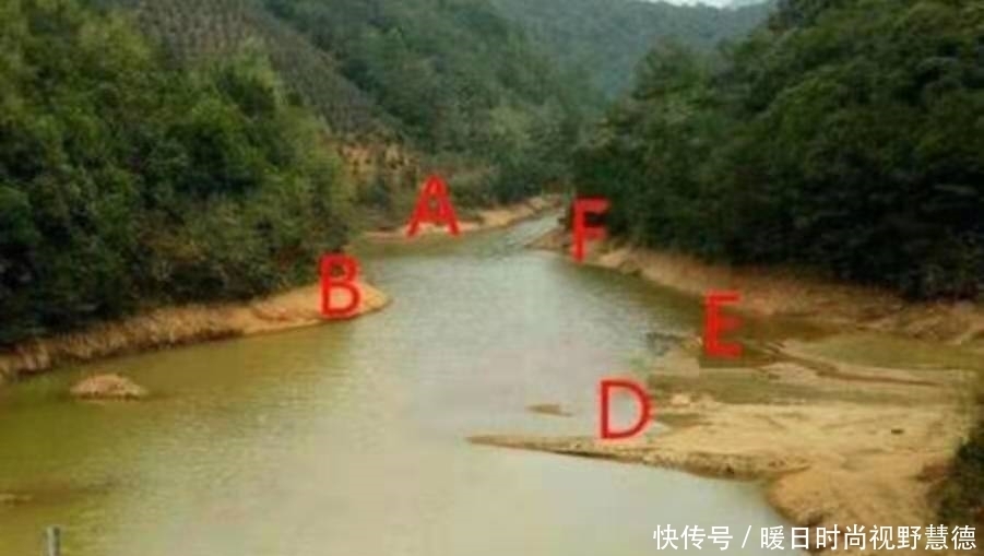 诀窍|鲤鱼好钓有诀窍,按我说的做,不信鱼获不够好