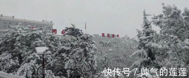 雪景|惊艳！平凉迎来入秋第一场雪，刷爆朋友圈！