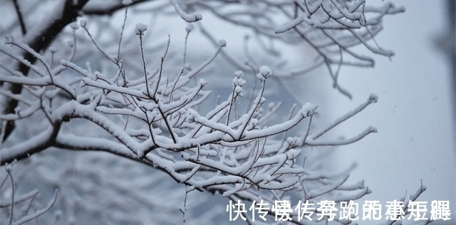 22个冷知识:只有少数人知晓,但知道了或许也无处使用