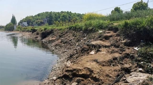 专家一天钓上千斤鱼很正常;钓鱼人你钓给我看看