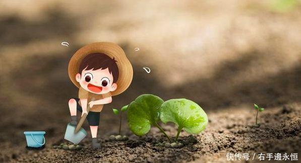 养花换下的土壤这样操作,就能无限循环