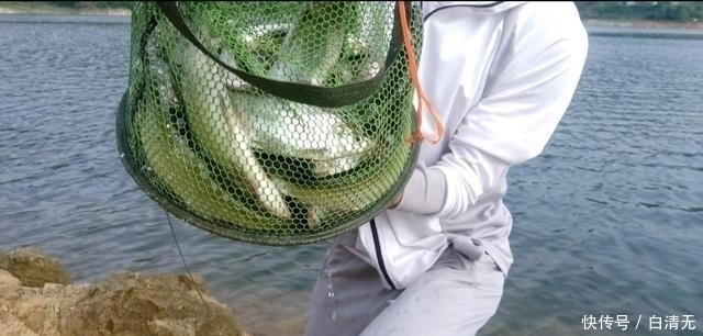 钓翘嘴知道这些,会让你收获满满,钓的非常过瘾