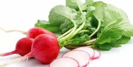 女性|对身体很好的食物,女性经常吃,健脾养胃,排毒抗衰,增强体质