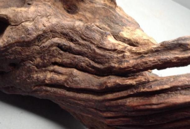 通畅|有一味中药即可收藏又可车珠子,还能通畅肠胃,祛脾胃寒气,暖肾