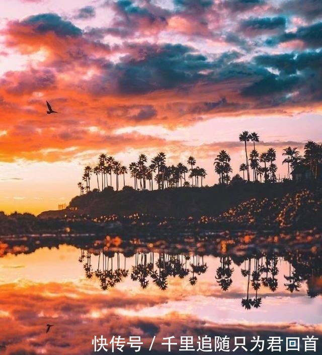 如梦初醒|触动灵魂的小句子精辟犀利,总有几句让你如梦初醒!