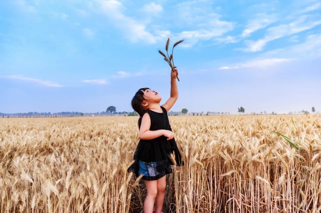 孩子|再爱孩子,也要让他承受这七种苦