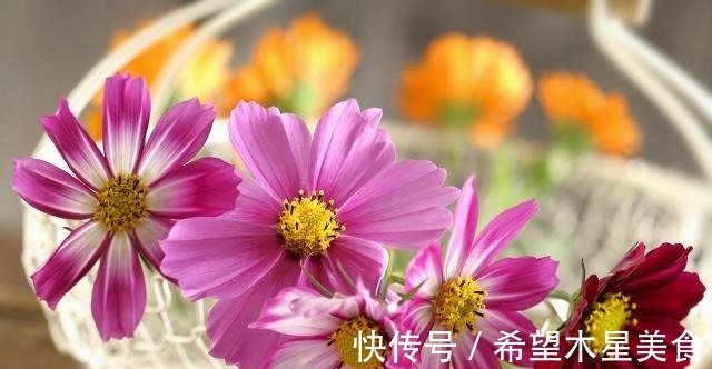 锻炼身体|28岁女孩学游泳锻炼身体,私教教练却百般骚扰,我怕了!