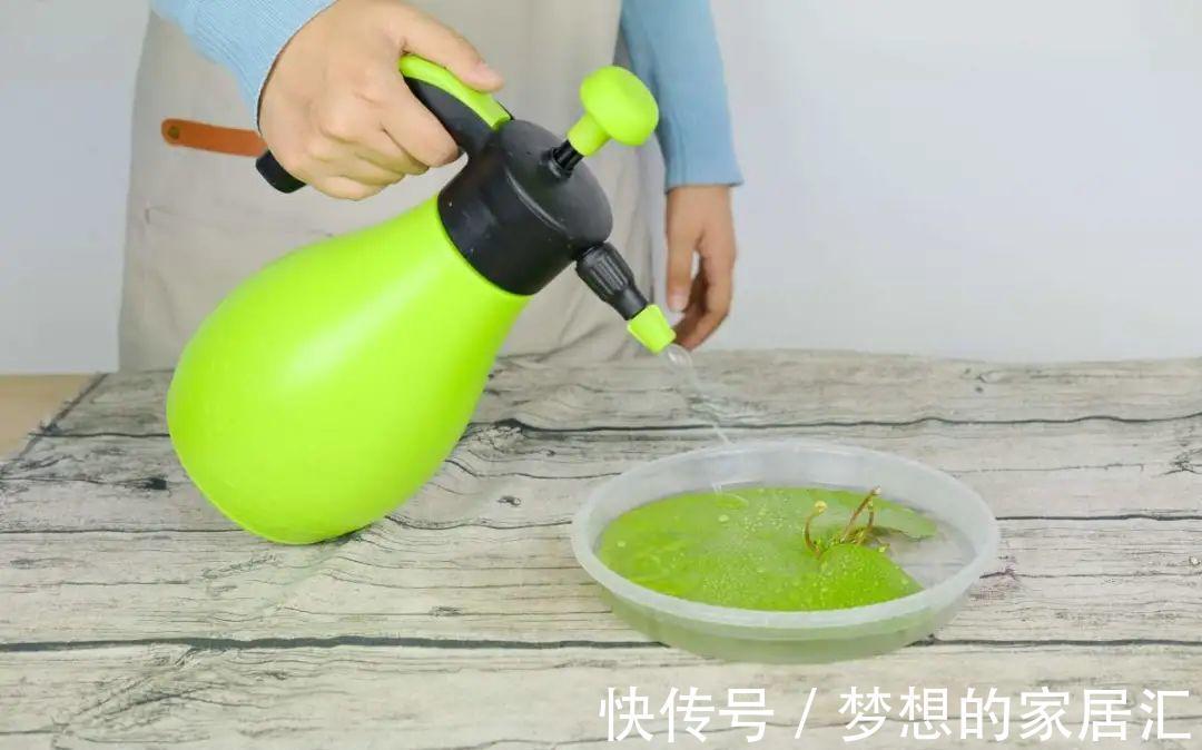 10种花太能喝水，一天一瓢水，7天爆满缸