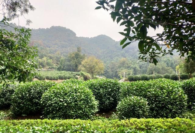 杭州|杭州最值得逛的景区，名为村却不是村？不是景点却胜似景点！