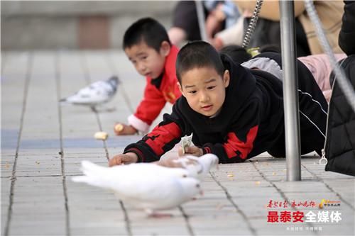 泰城春意浓 不负好时节