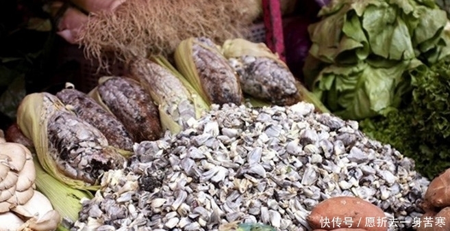 些地方|菜市场上卖的发霉的玉米,很多人抢着买,被称为“墨西哥松露”