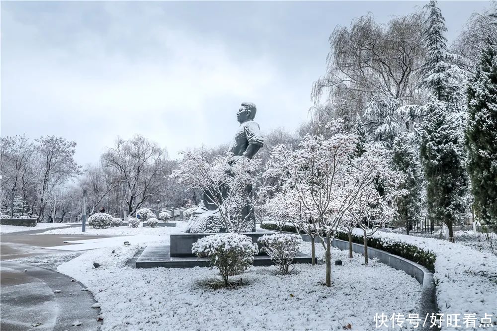 西安翻译学院：银装素裹雪景美如画