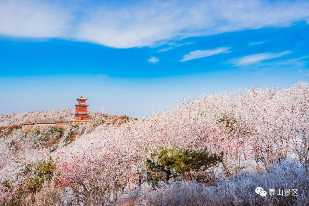  散文|跟随姚鼐的散文《登泰山记》冬览泰山