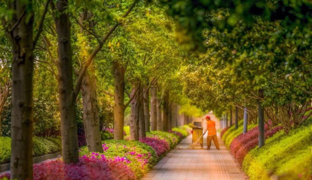 草长莺飞，风铃花开，星河湾里春光早