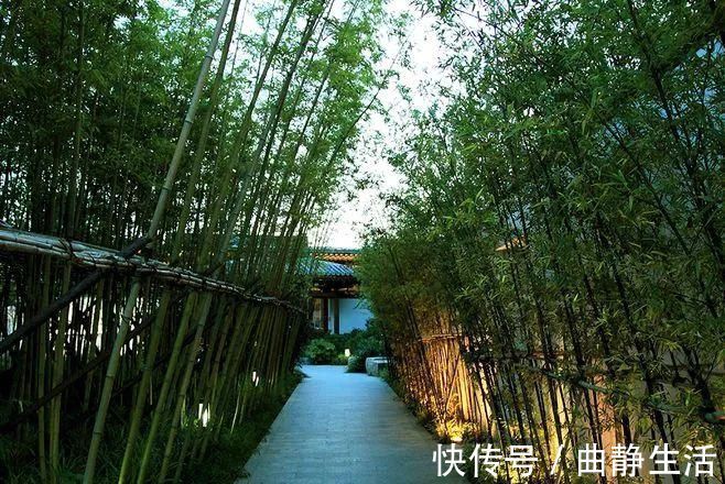 等我老了以后，找个小院陪你养花种菜！