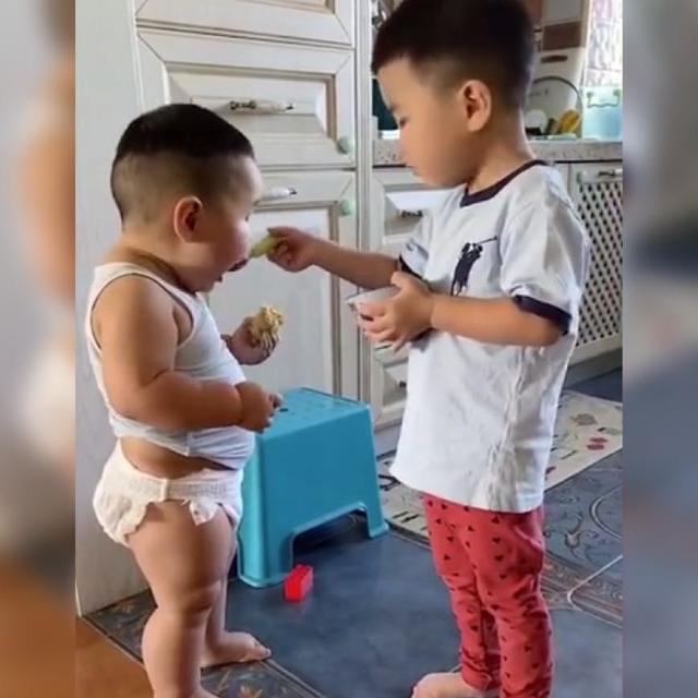 二宝|哥哥耐心地给弟弟“喂饭”火了,网友留下弟弟被哥哥喂胖的证据