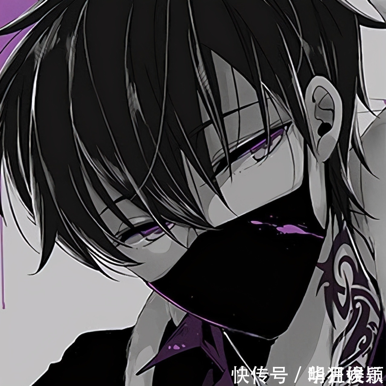 吞海!喜欢的作者开新文了,淮上新作不是擒川,Priest新作无CP