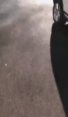 |搞笑GIF:妹子伪装的太好了 你成功的把我骗到了