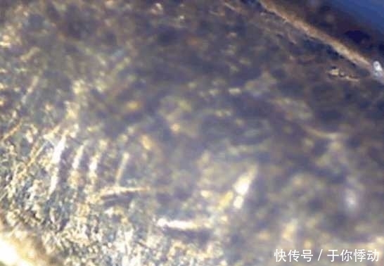 后才|男子将黄金放大100倍, 测试后才知道黄金贵在哪里