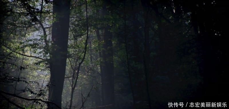 基因|纳粹掌握了基因改良技术?史前巨型野牛复活计划居然成功了